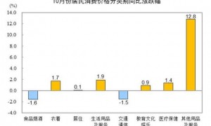 国家统计局：10月份居民消费价格同比上涨0.2%