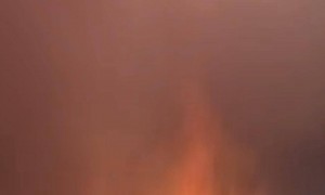 浏阳烟花秀火星掉落引发火灾，当地：迅速处置，无人员伤亡