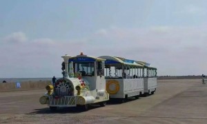 江苏启东一观光车遭强风冲击侧翻落水，事故共造成4人遇难！官方通报：相关责任人已被警方控制