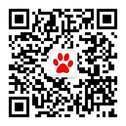 上海弄堂夜游路线推荐